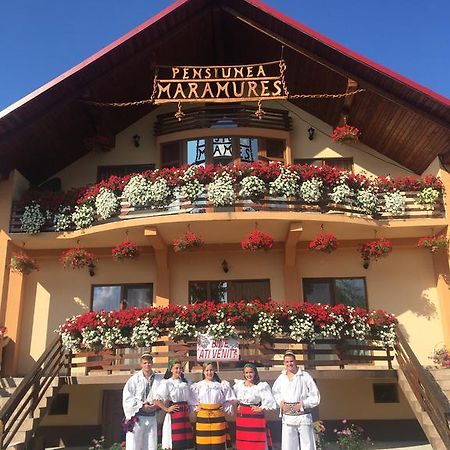 Ocna Şugatag Pensiunea Maramures المظهر الخارجي الصورة