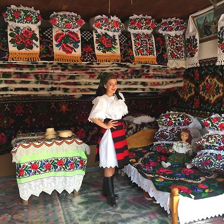 Ocna Şugatag Pensiunea Maramures المظهر الخارجي الصورة