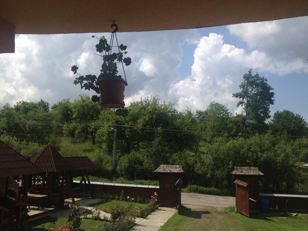 Ocna Şugatag Pensiunea Maramures المظهر الخارجي الصورة