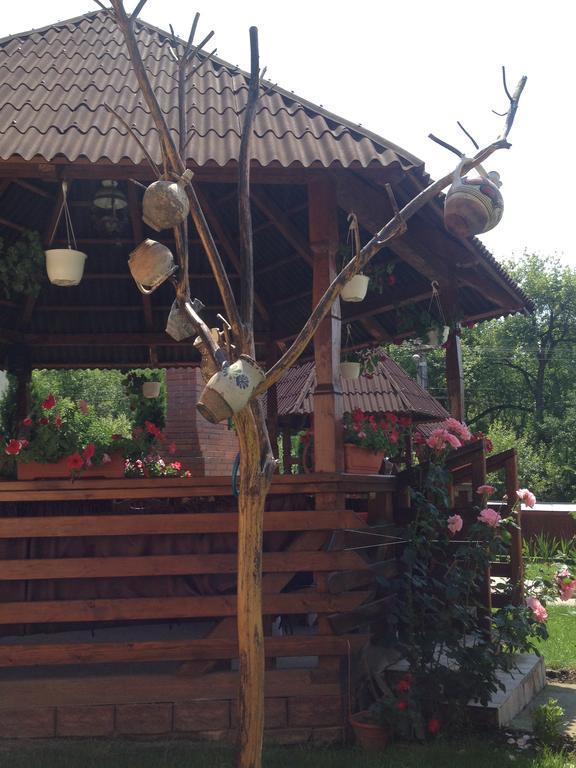 Ocna Şugatag Pensiunea Maramures المظهر الخارجي الصورة