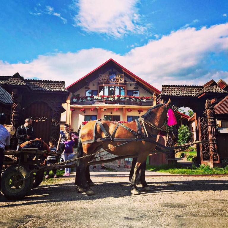 Ocna Şugatag Pensiunea Maramures المظهر الخارجي الصورة
