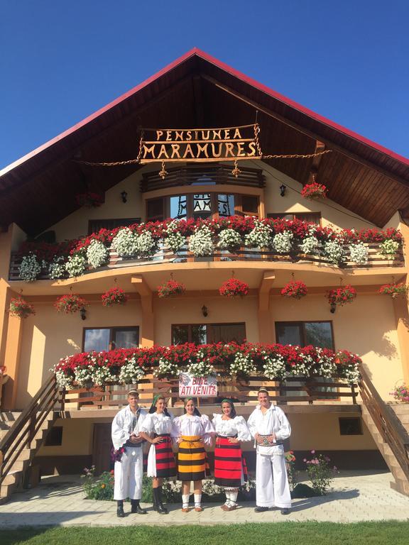 Ocna Şugatag Pensiunea Maramures المظهر الخارجي الصورة