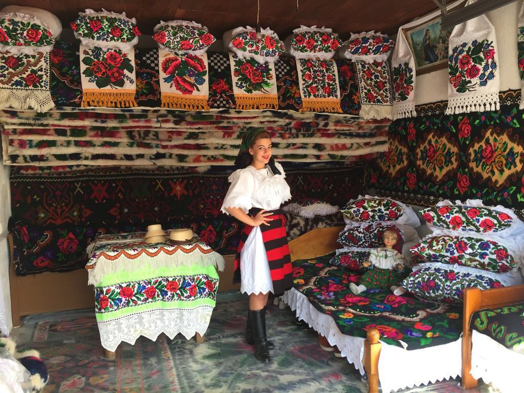 Ocna Şugatag Pensiunea Maramures المظهر الخارجي الصورة